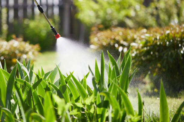 24/7 Emergency Wasp Removal experts in Blair, WI